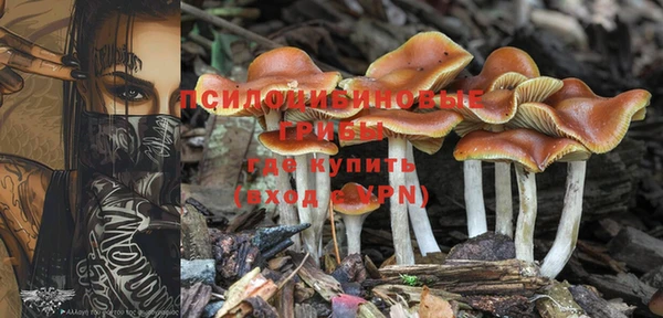 каннабис Волоколамск