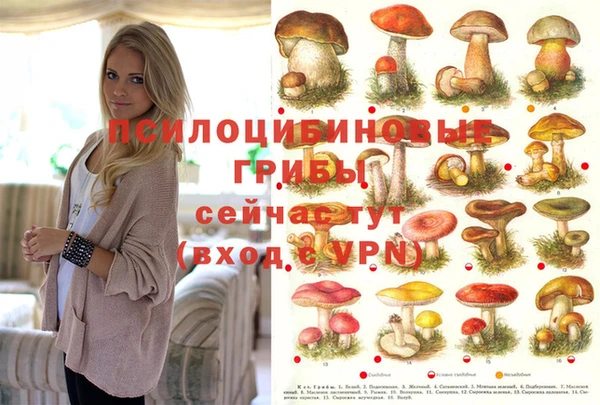 каннабис Волоколамск