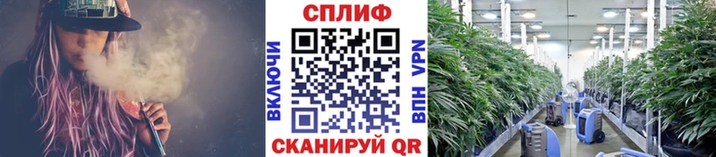 МЕГА зеркало  Каменск-Уральский  Конопля гибрид 
